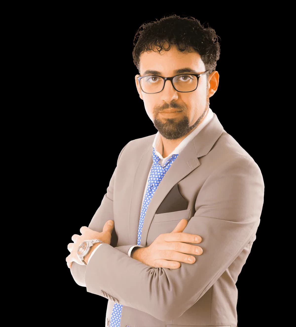 Nicola Ruotolo, Consulente per aziende e professionisti